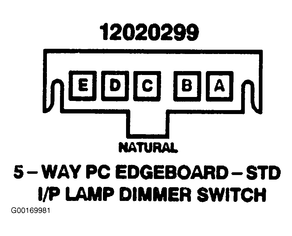 G00169981