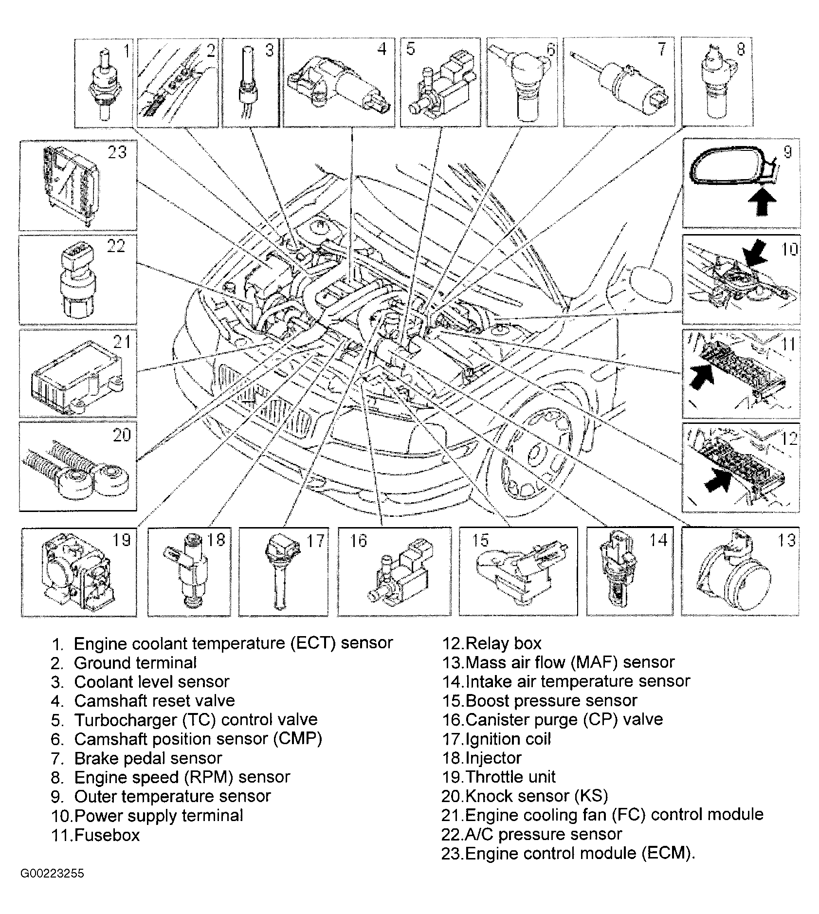 G00223255
