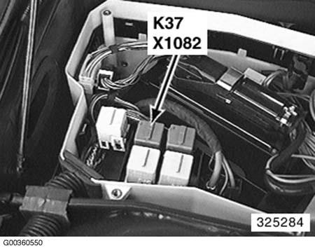 G00360550