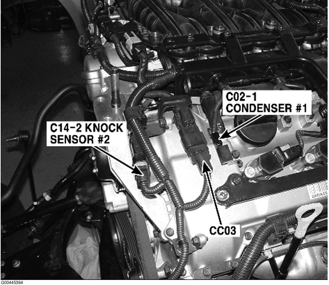 G00445384
