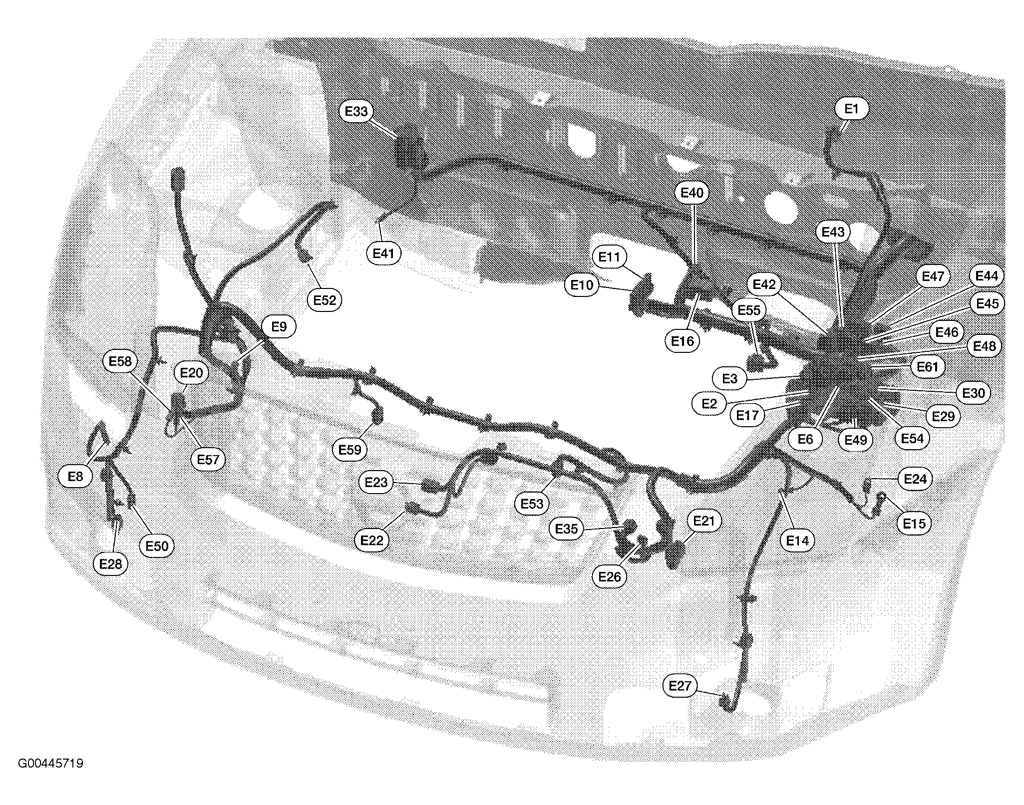 G00445719