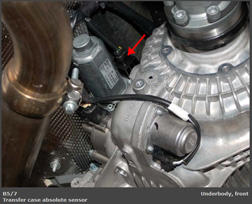 G00446498