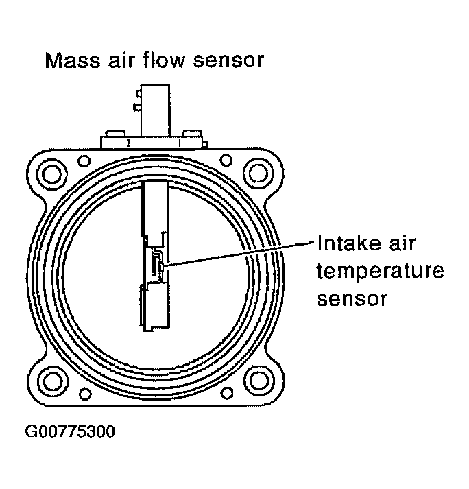 G00775300