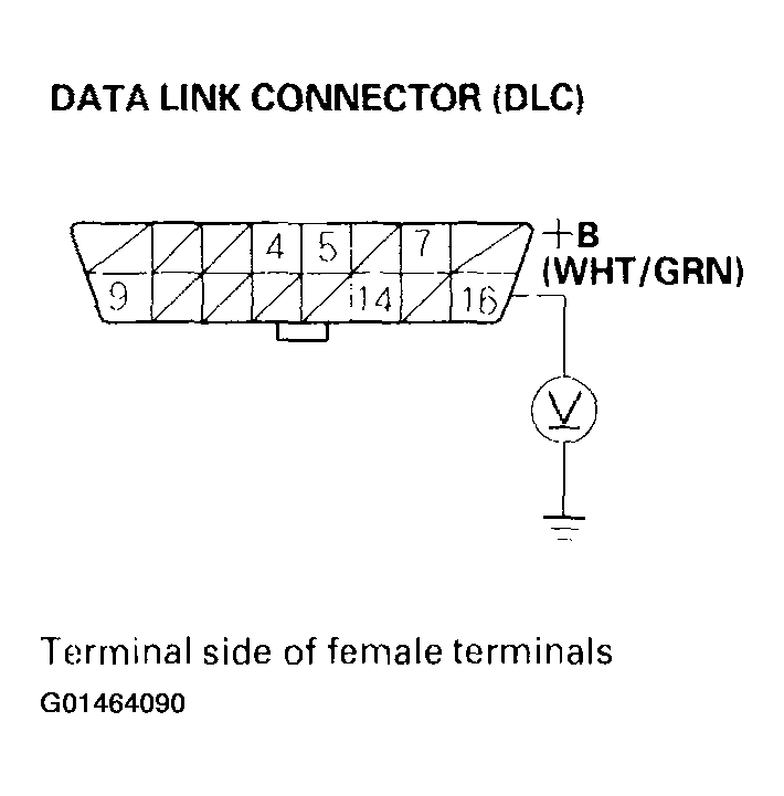 G01464090