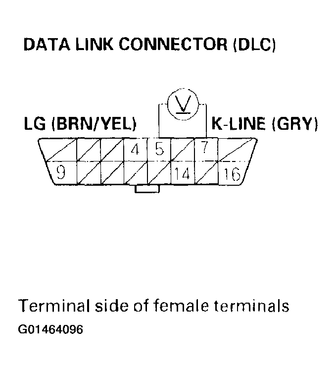 G01464096