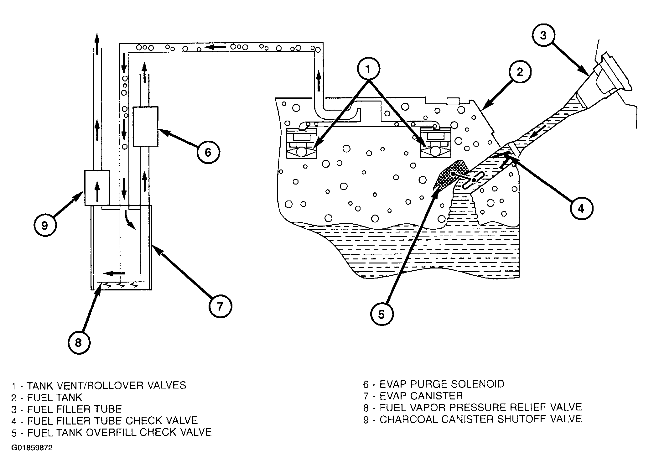 G01859872