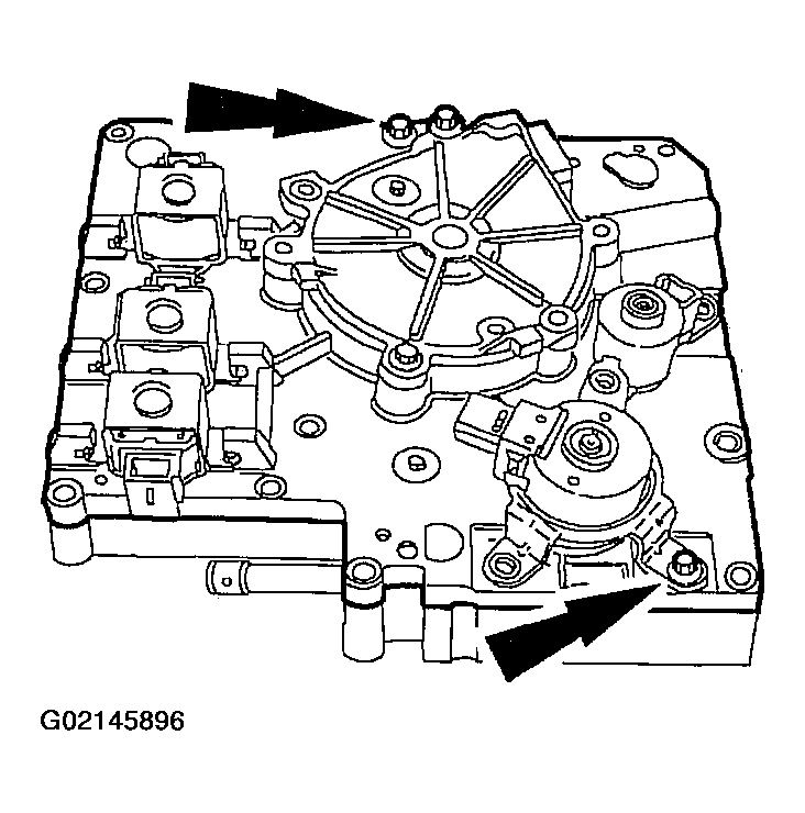 G02145896