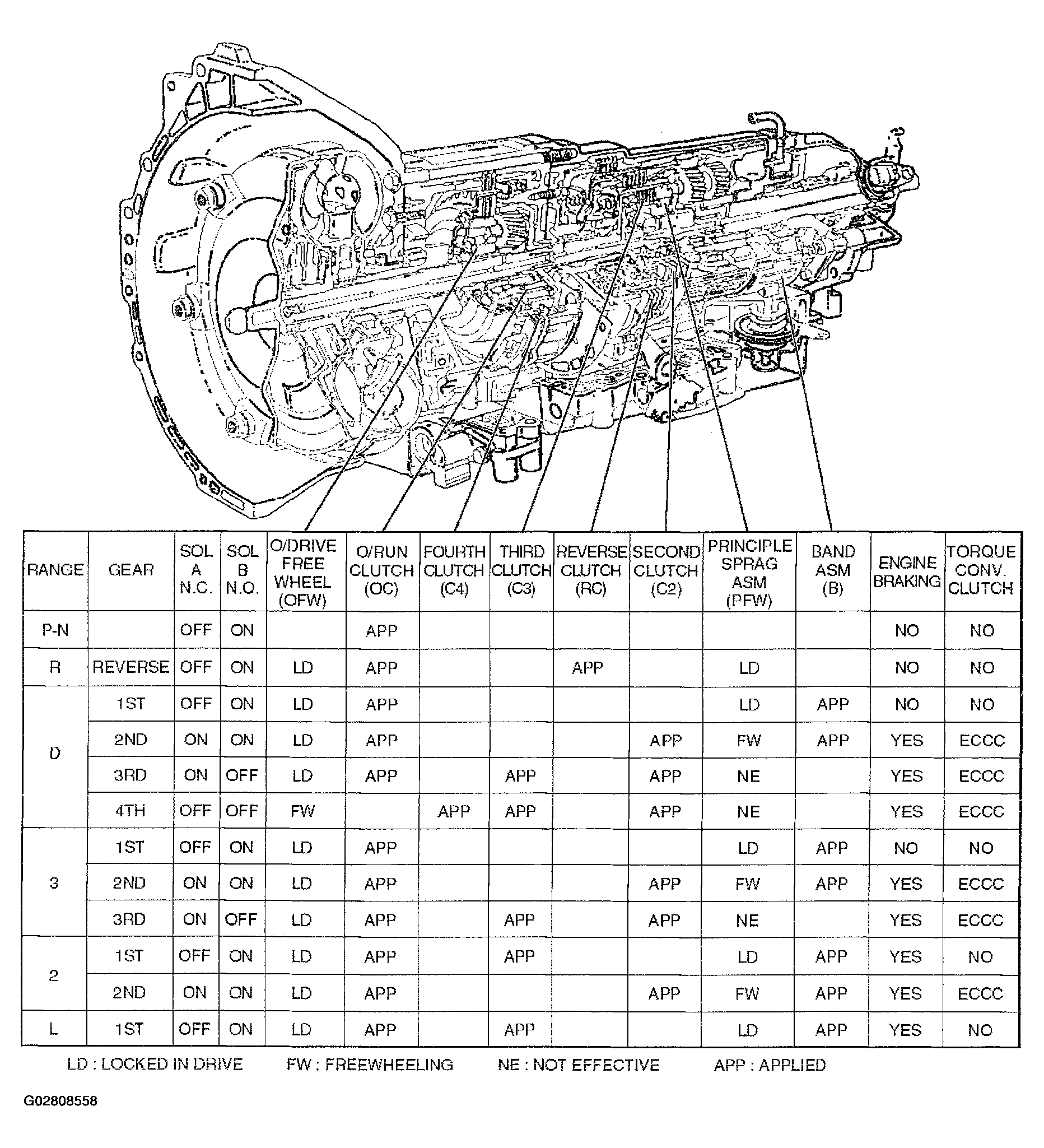 G02808558
