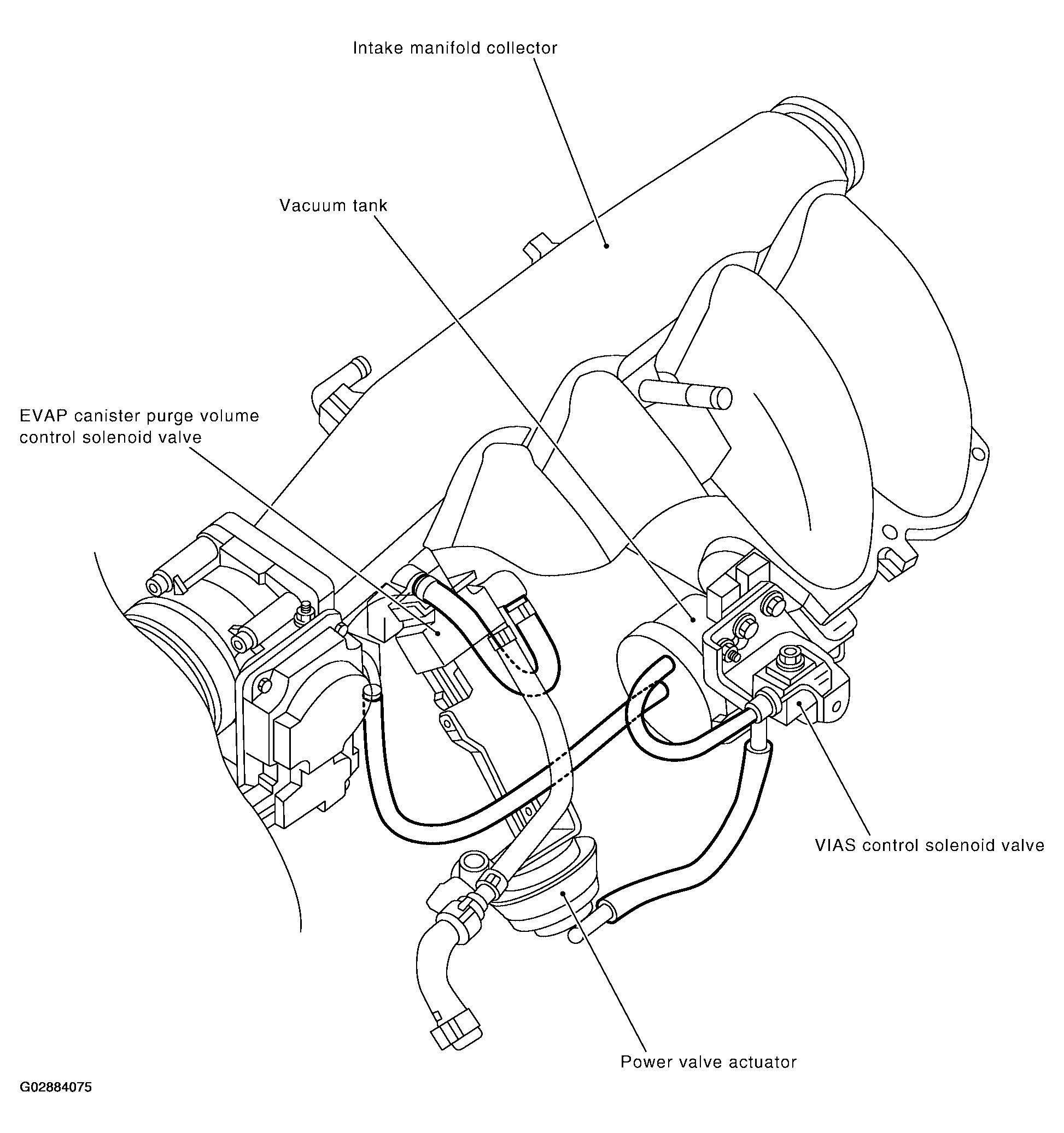 G02884075