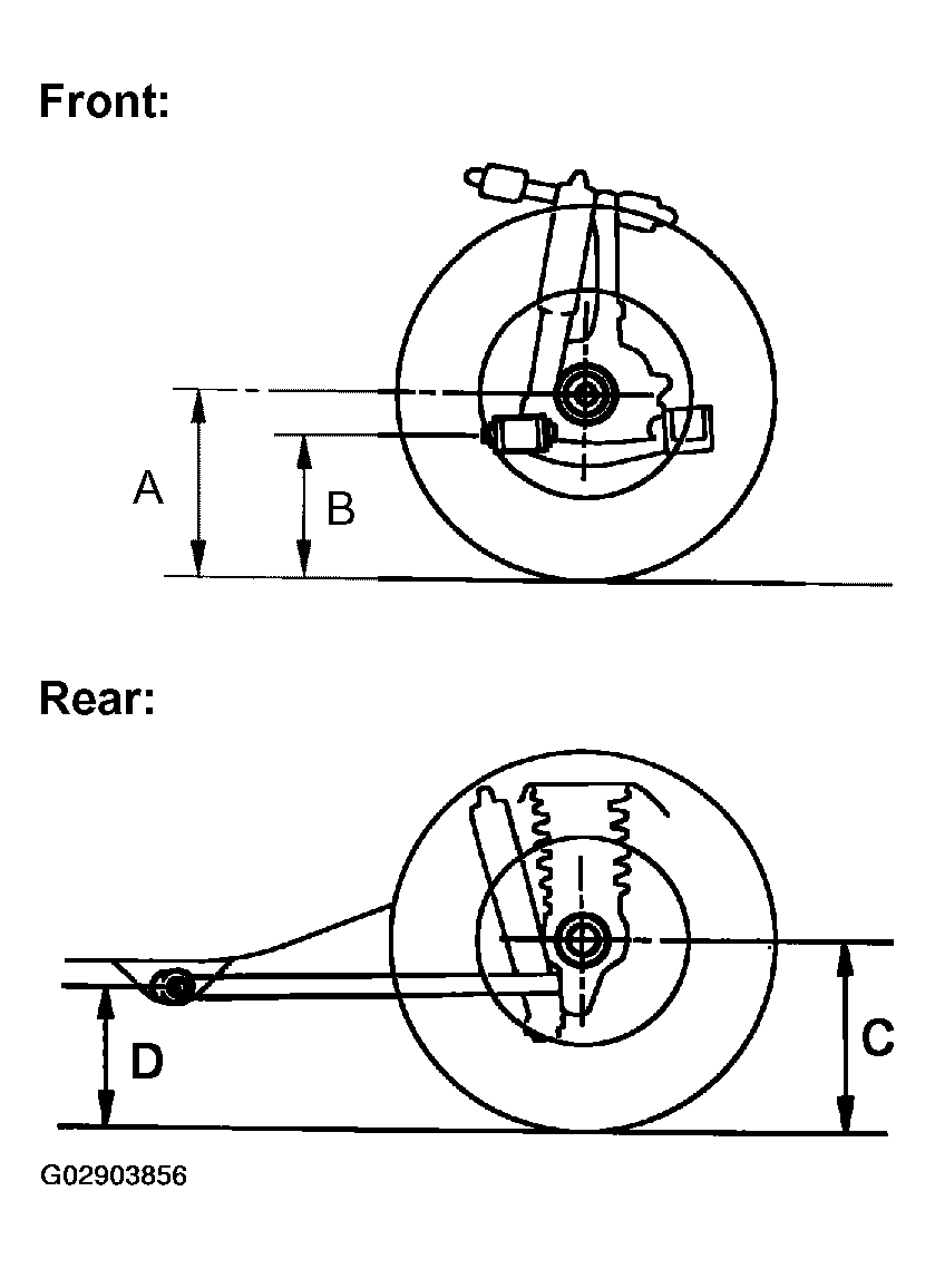G02903856