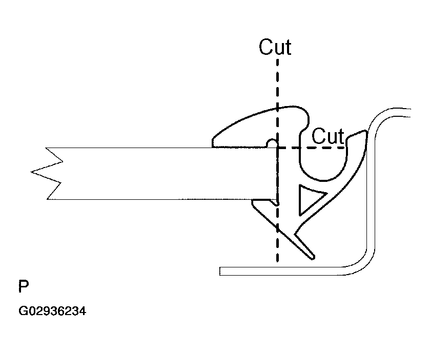 G02936234