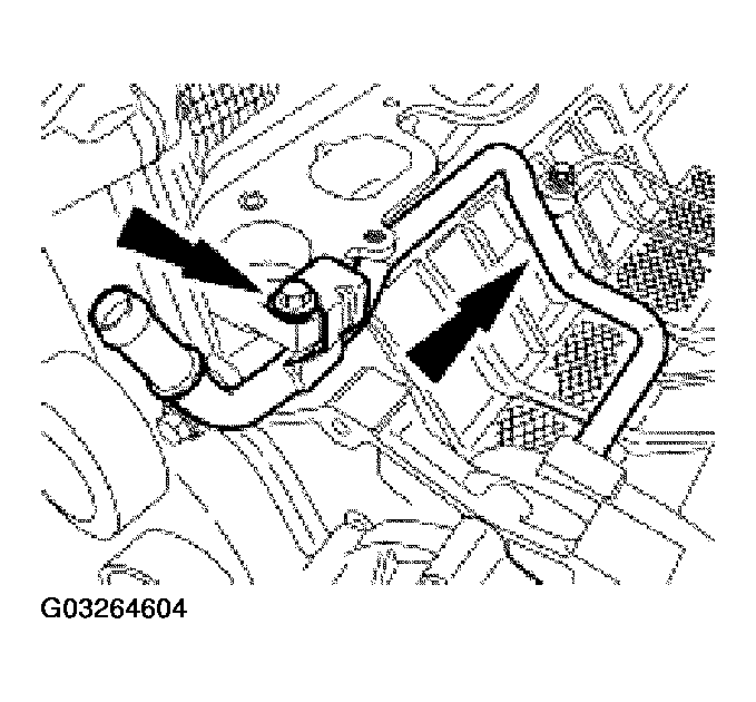 G03264604