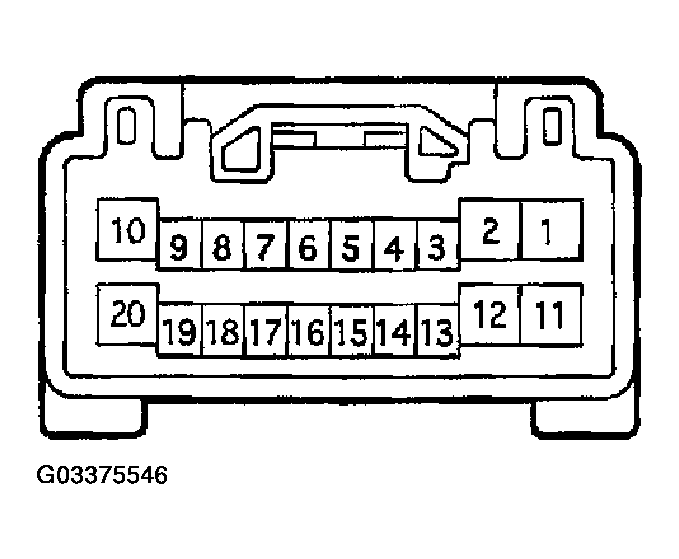G03375546