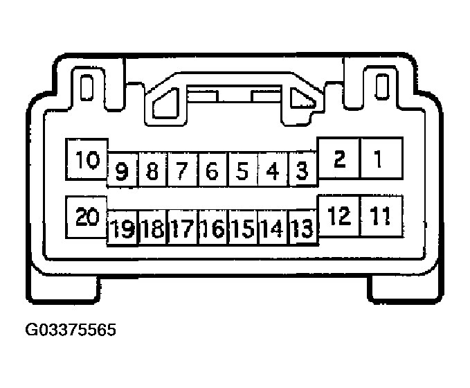 G03375565