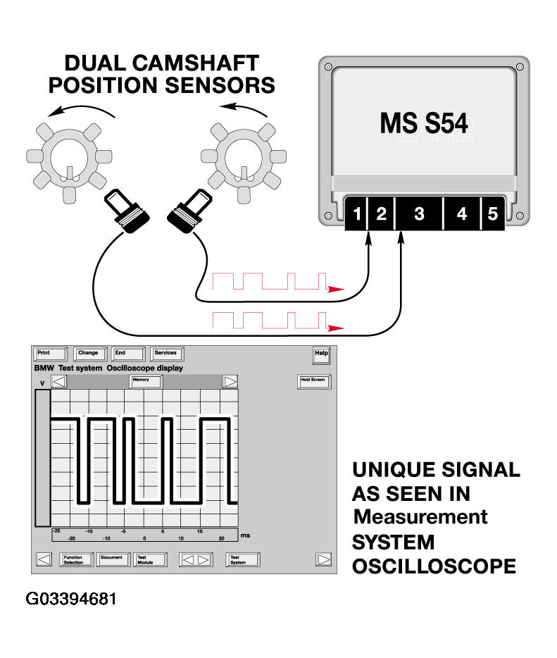G03394681