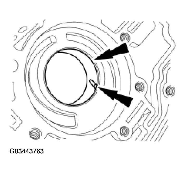 G03443763