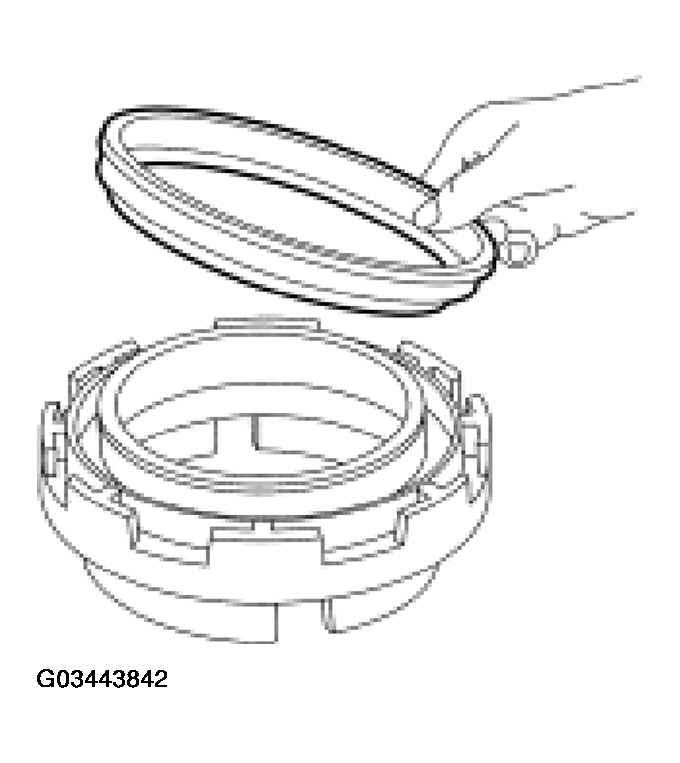 G03443842