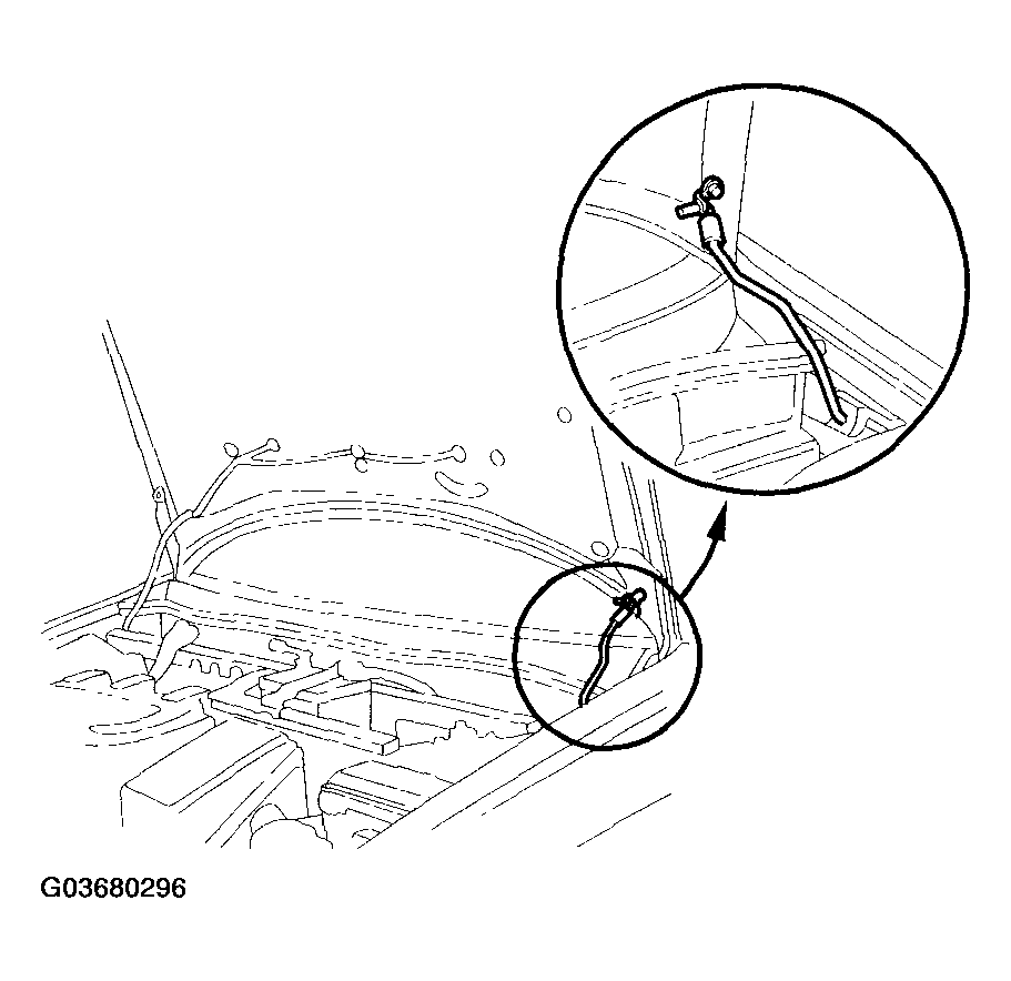G03680296