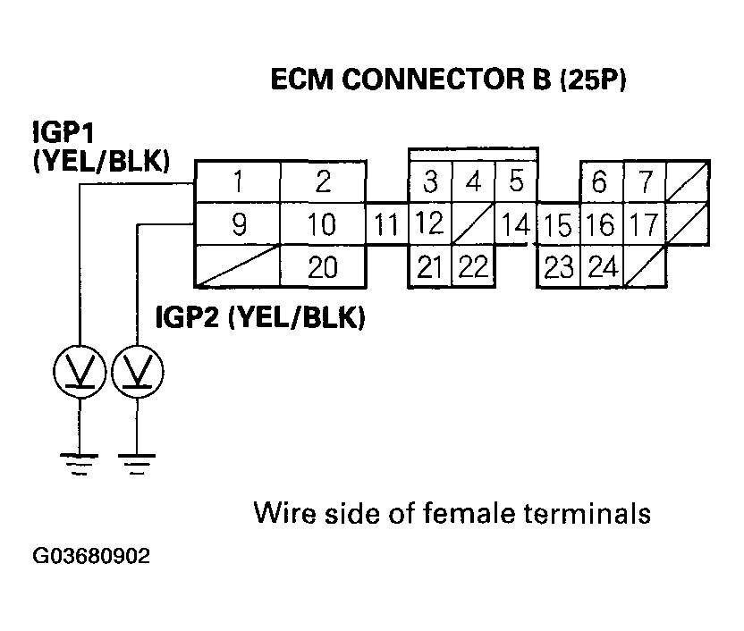 G03680902