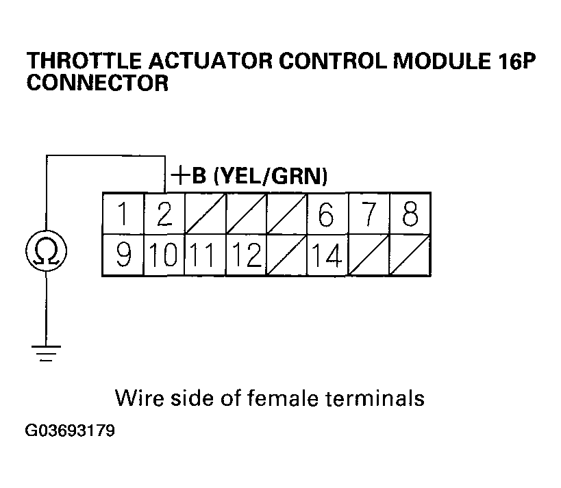G03693179