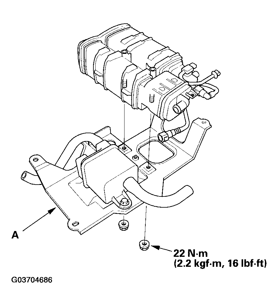 G03704686