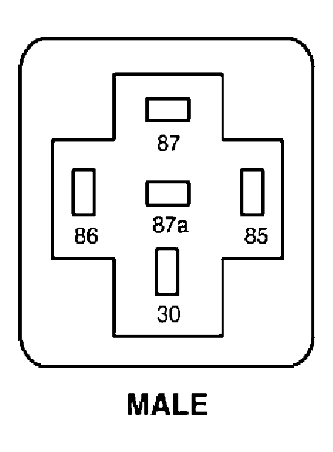 G04597599