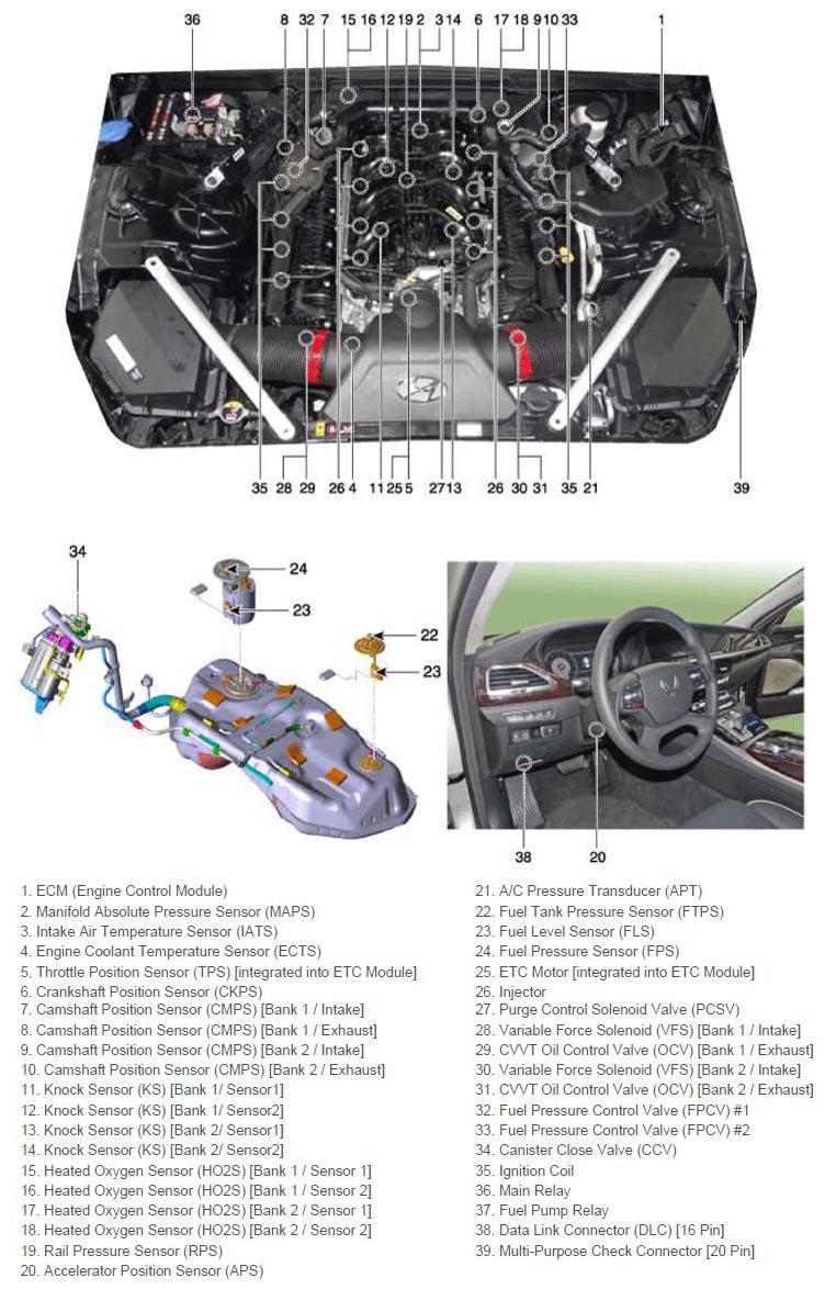 G11404321