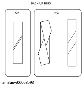 G11436339