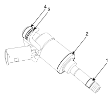 G11631048