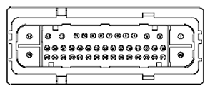 G11681650