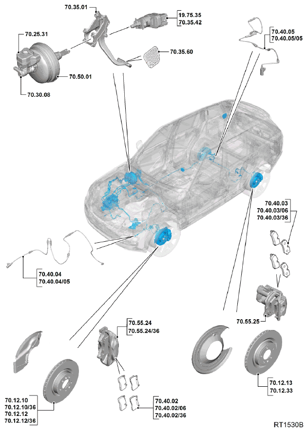 G11693742