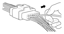 G11815703