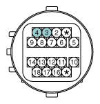 G11865789