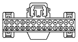 G11915589