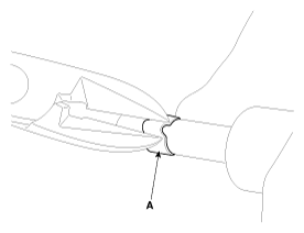 G12066362