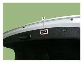 G12658905