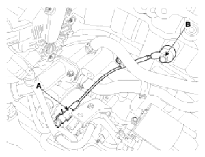 G13036917