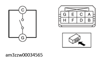 G13176975