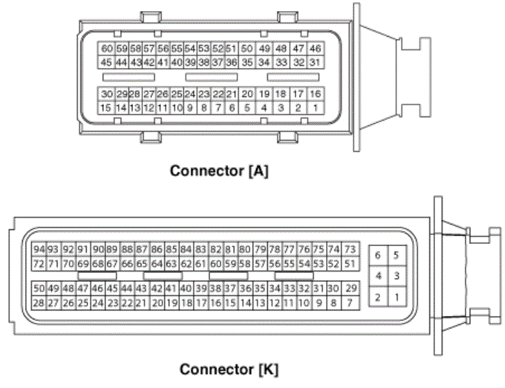 G13436531