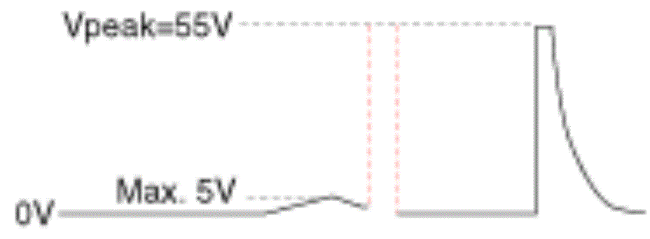 G13539322