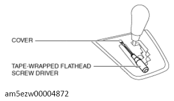 G13727562