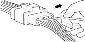 G14175529