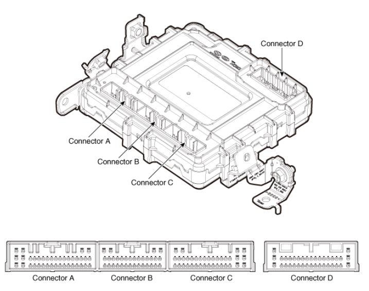 G15550081