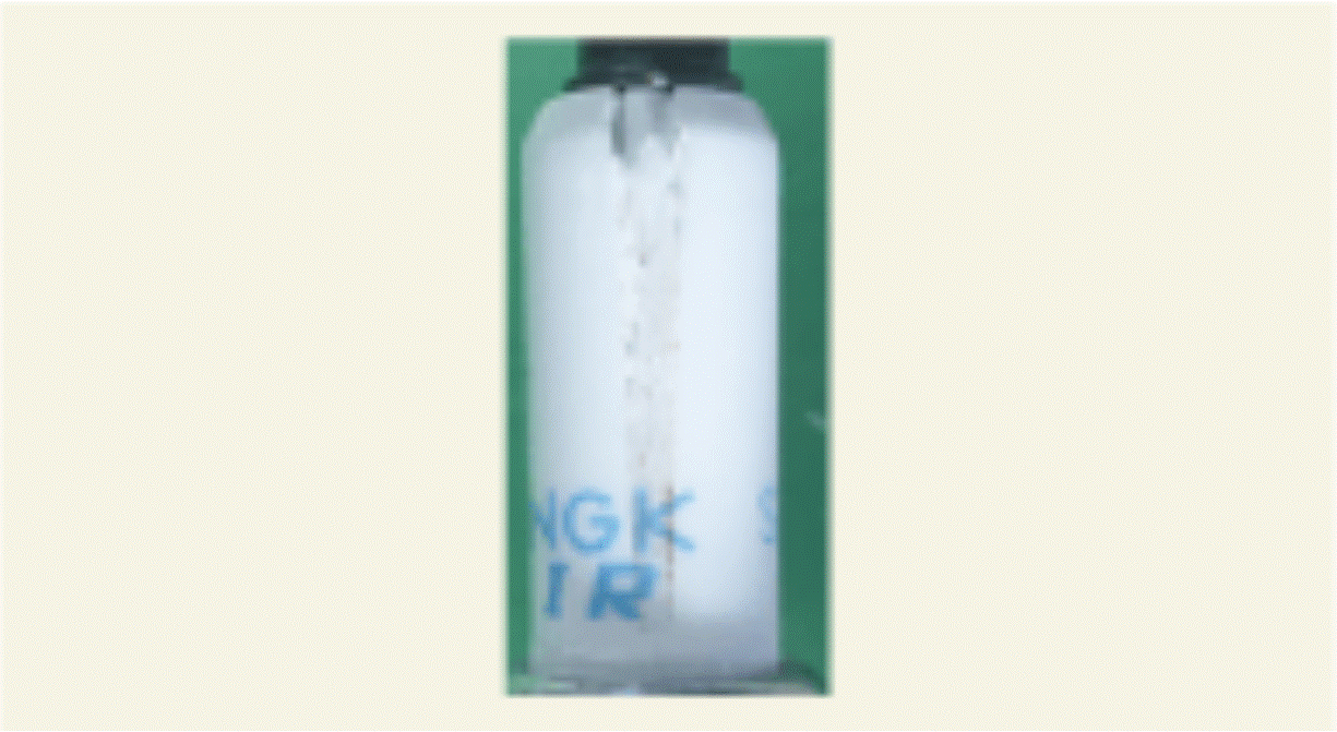 G15694377