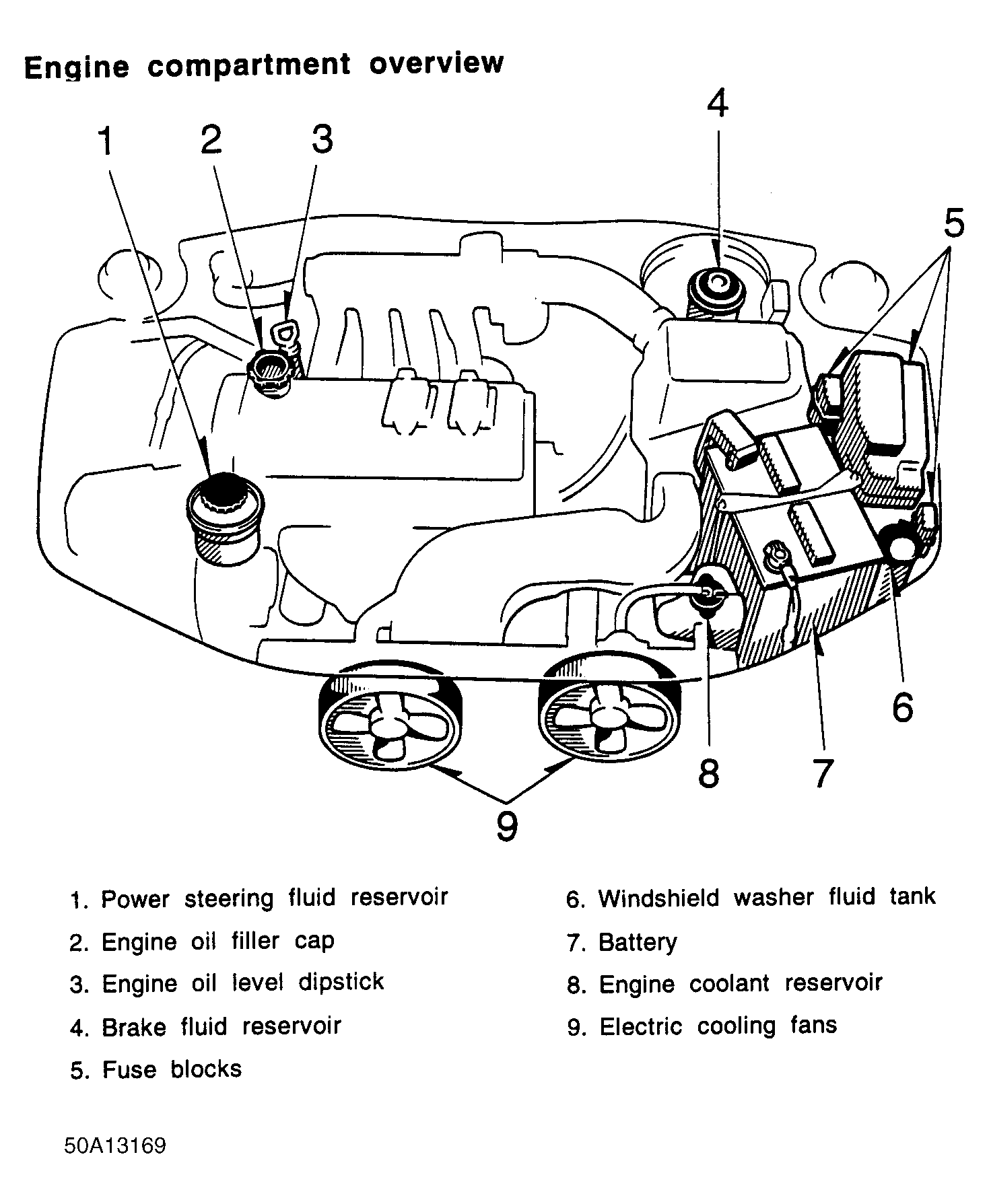 G50A13169