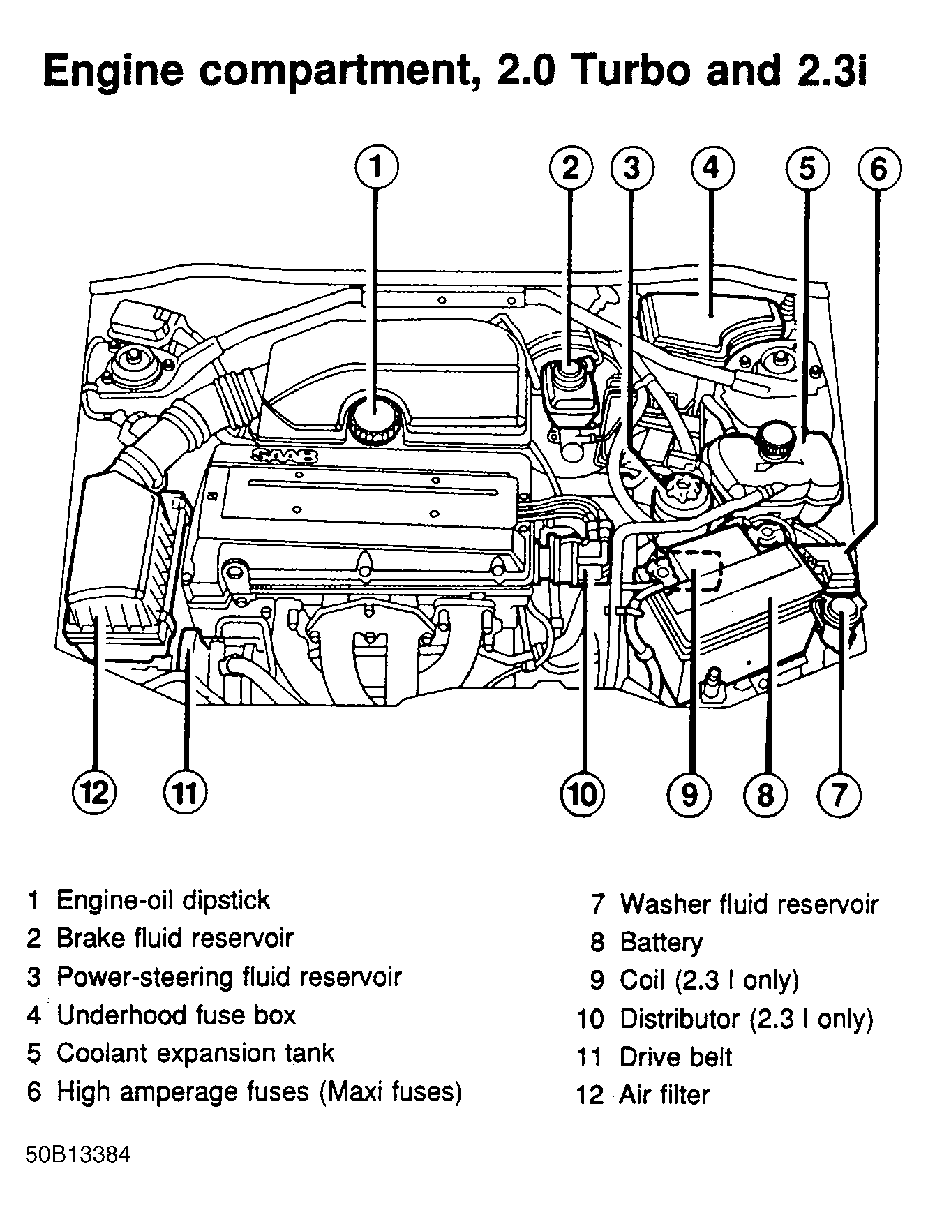 G50B13384