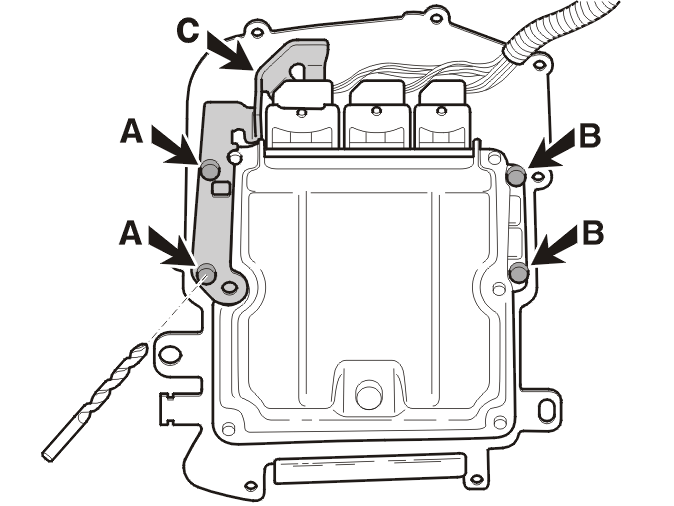 GLL115219