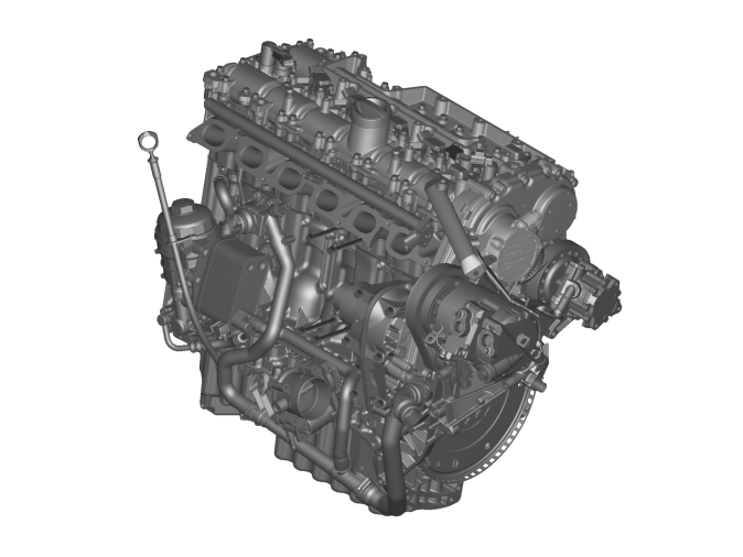 GLL156935